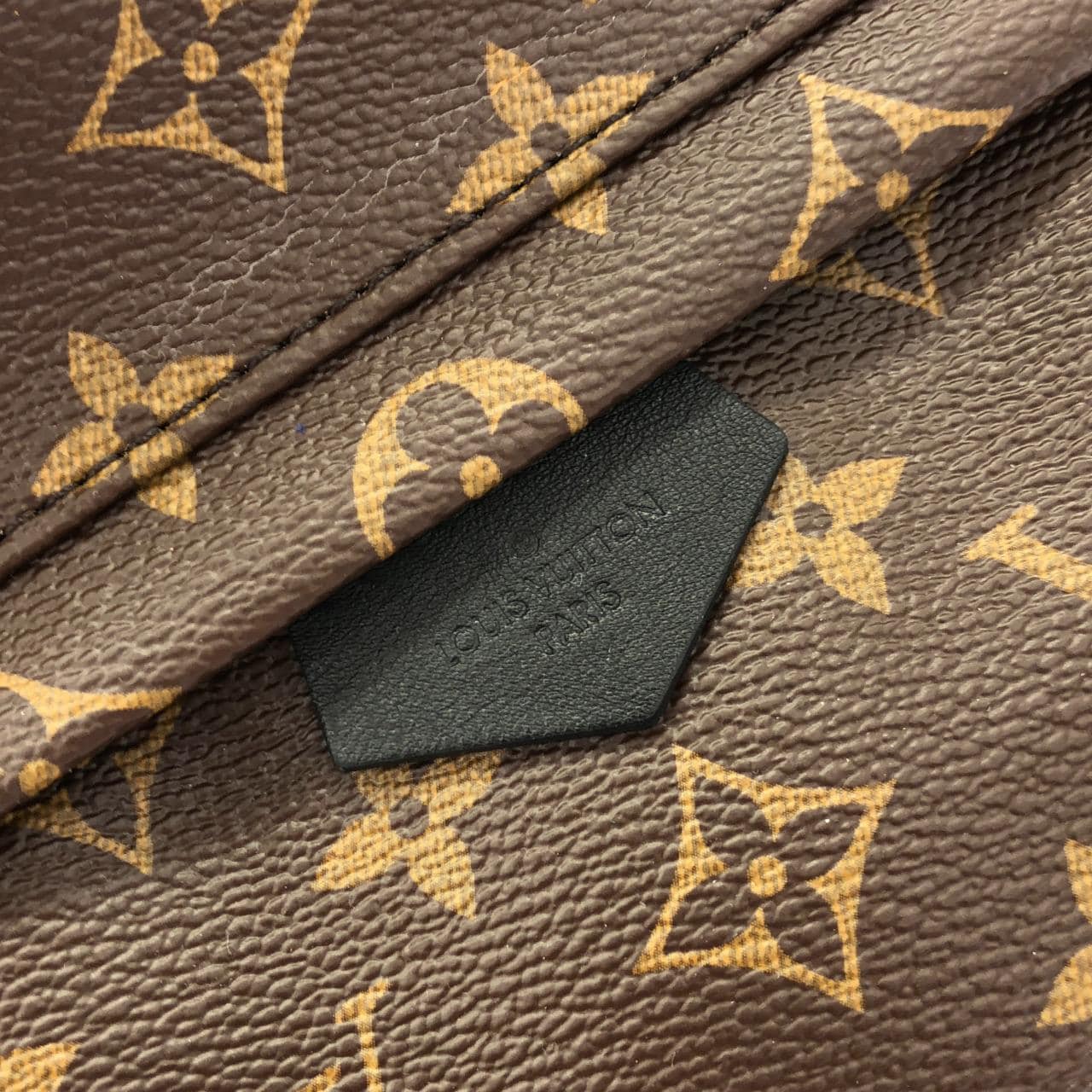 LOUIS VUITTON Palm Springs M41560 Backpack Monogram 5