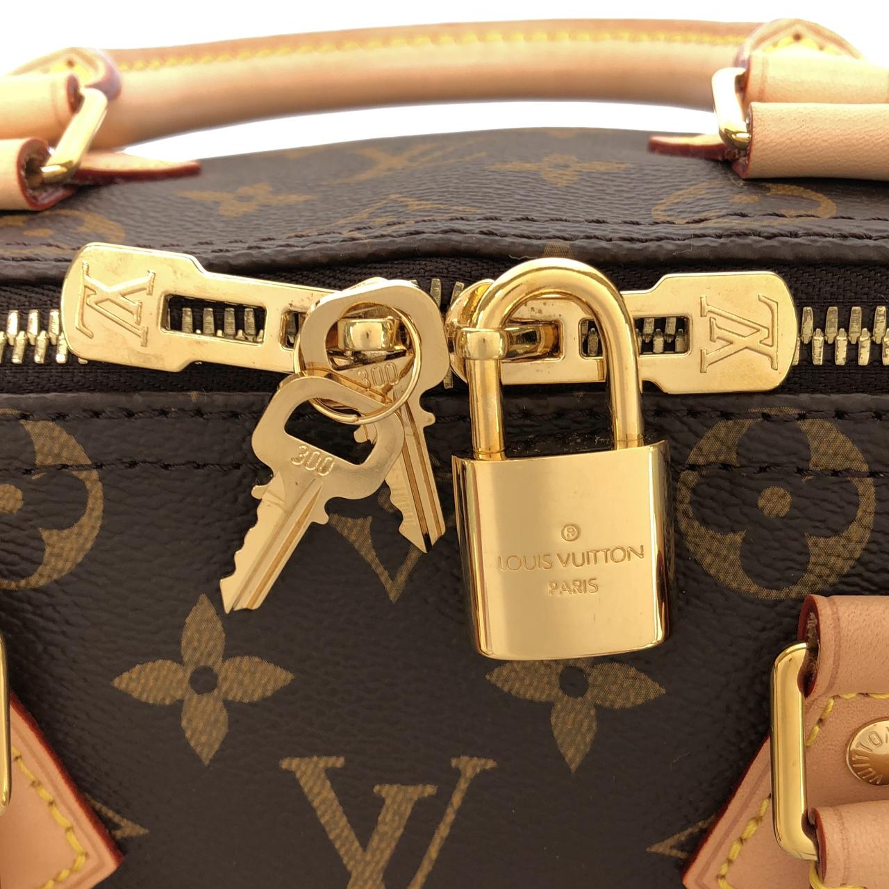 LOUIS VUITTON Speedy M46977 Boston Monogram 4