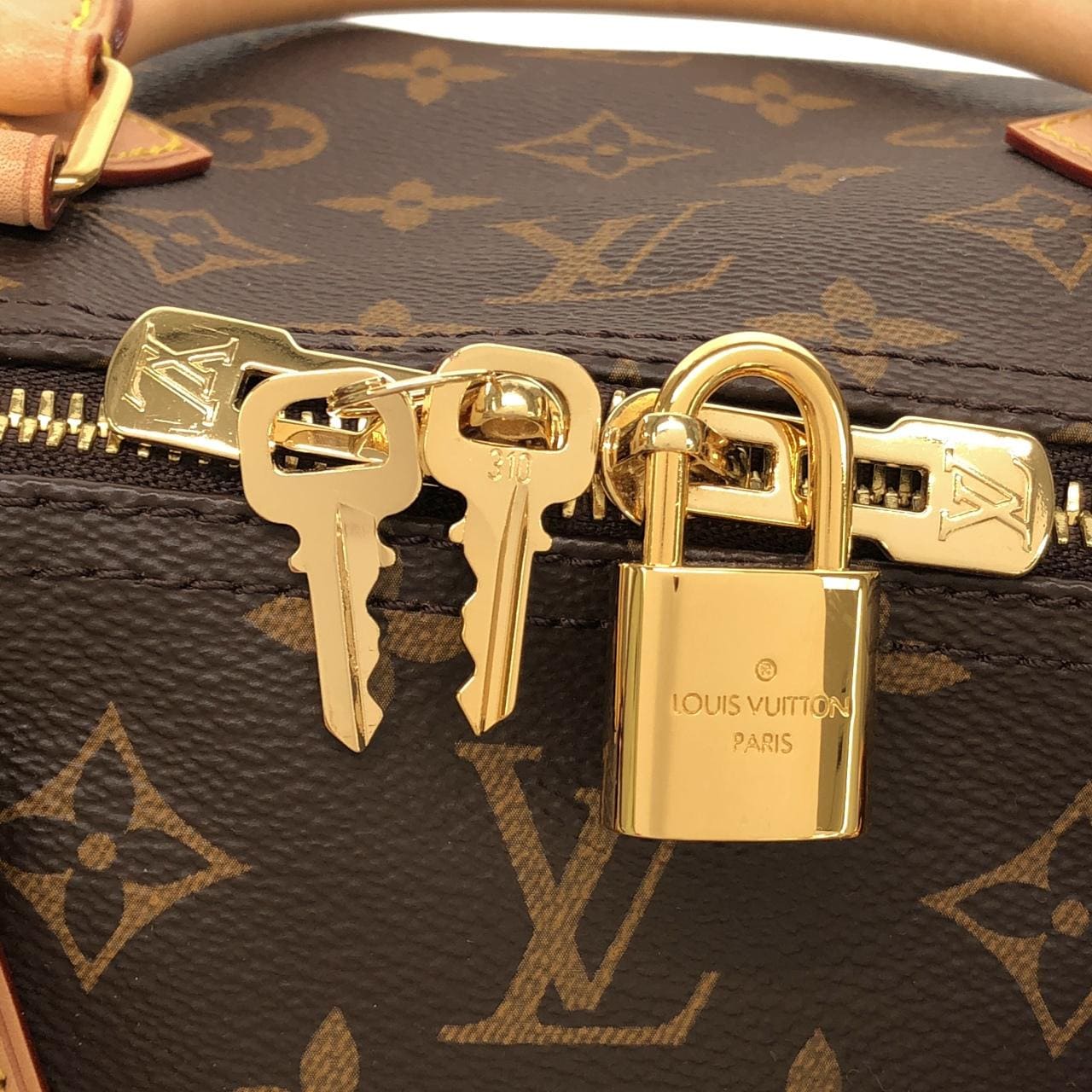 LOUIS VUITTON Speedy M46982 Boston Monogram 4