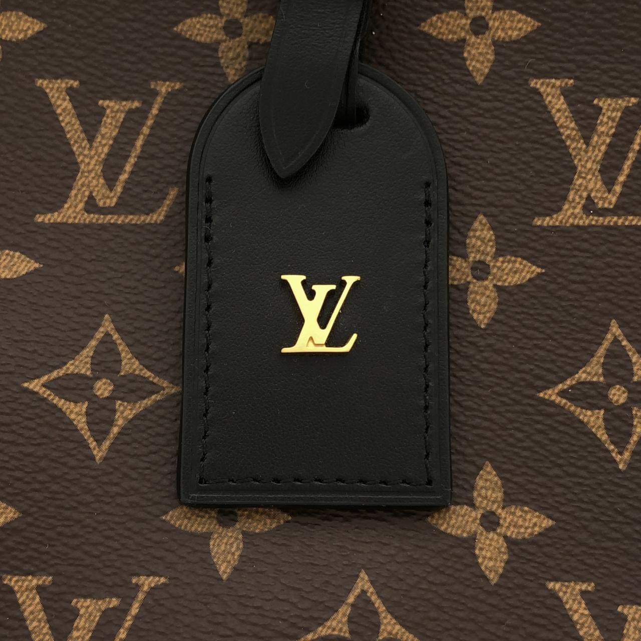 LOUIS VUITTON Odéon M45353 肩背包 Monogram 5