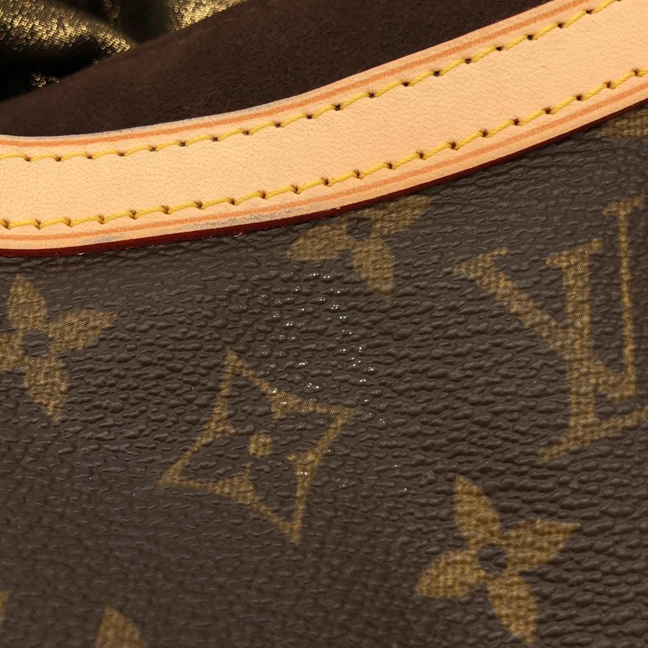 LOUIS VUITTON M97016 Handbag Monogram 5
