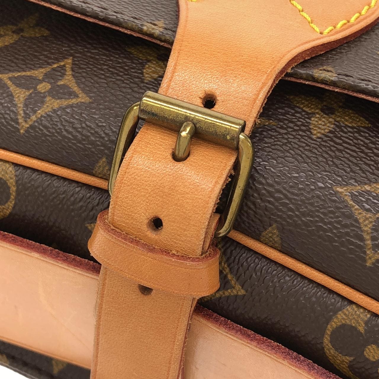 LOUIS VUITTON M51252 肩背包 Monogram 5