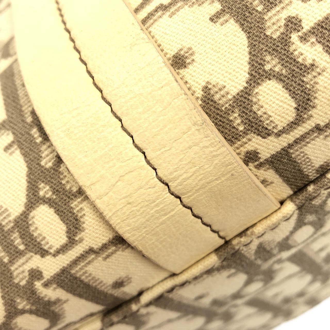 DIOR Handbag Canvas 5