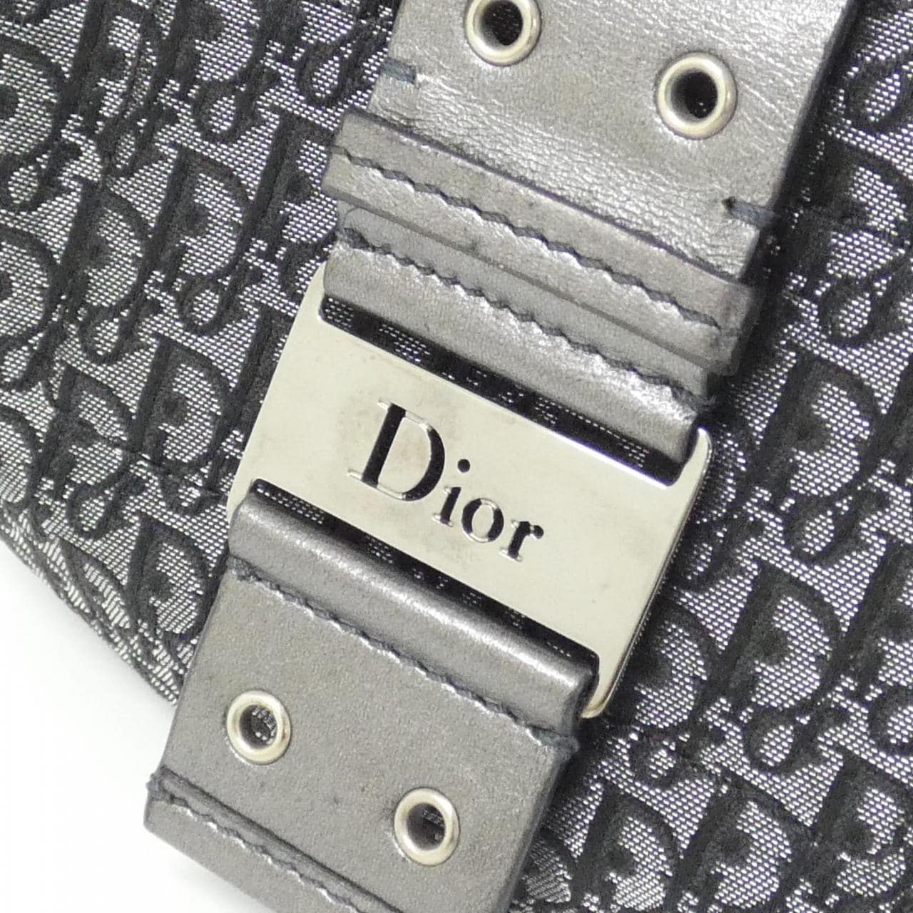 DIOR Shoulder Canvas 4