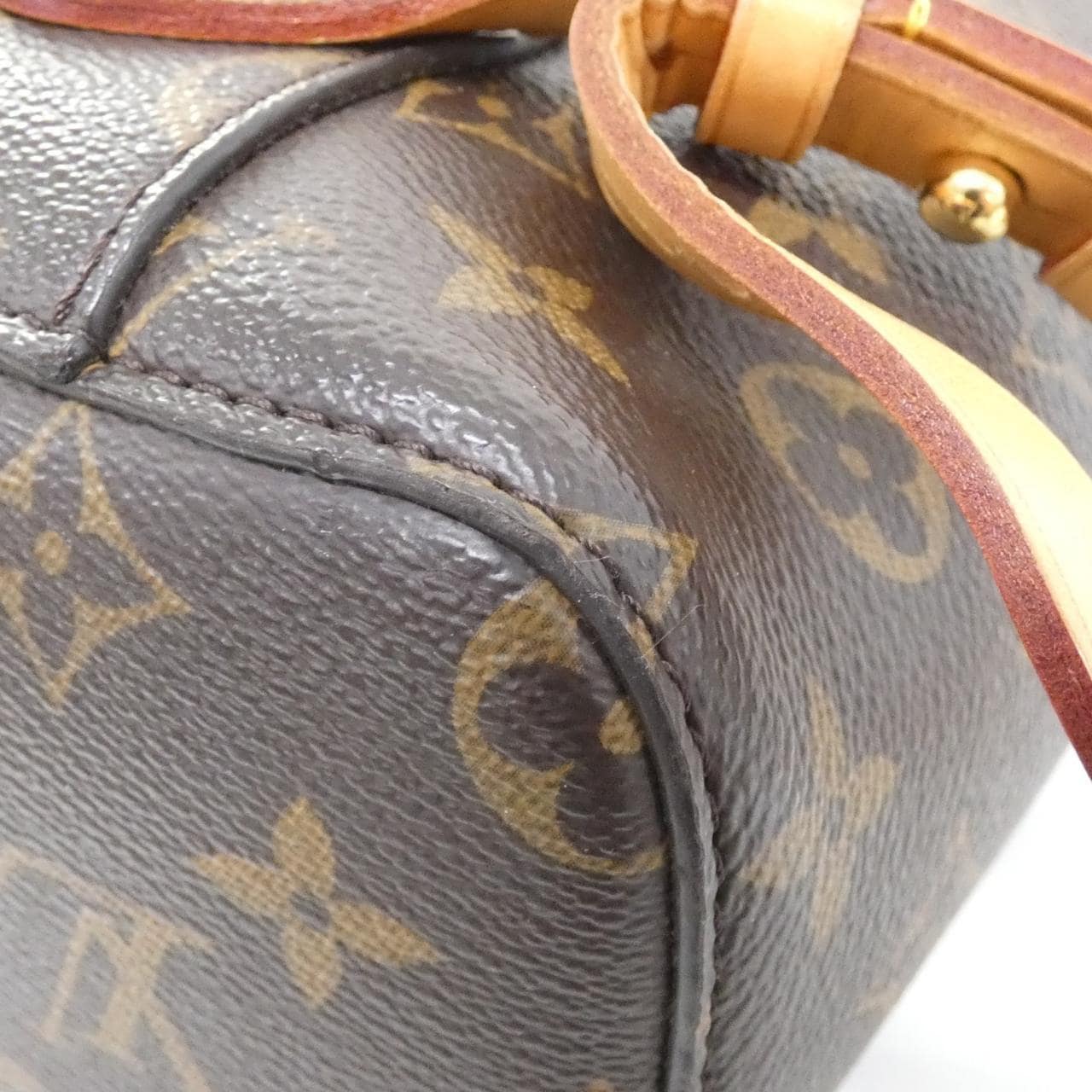LOUIS VUITTON Montsouris M43431 背包 Monogram 3