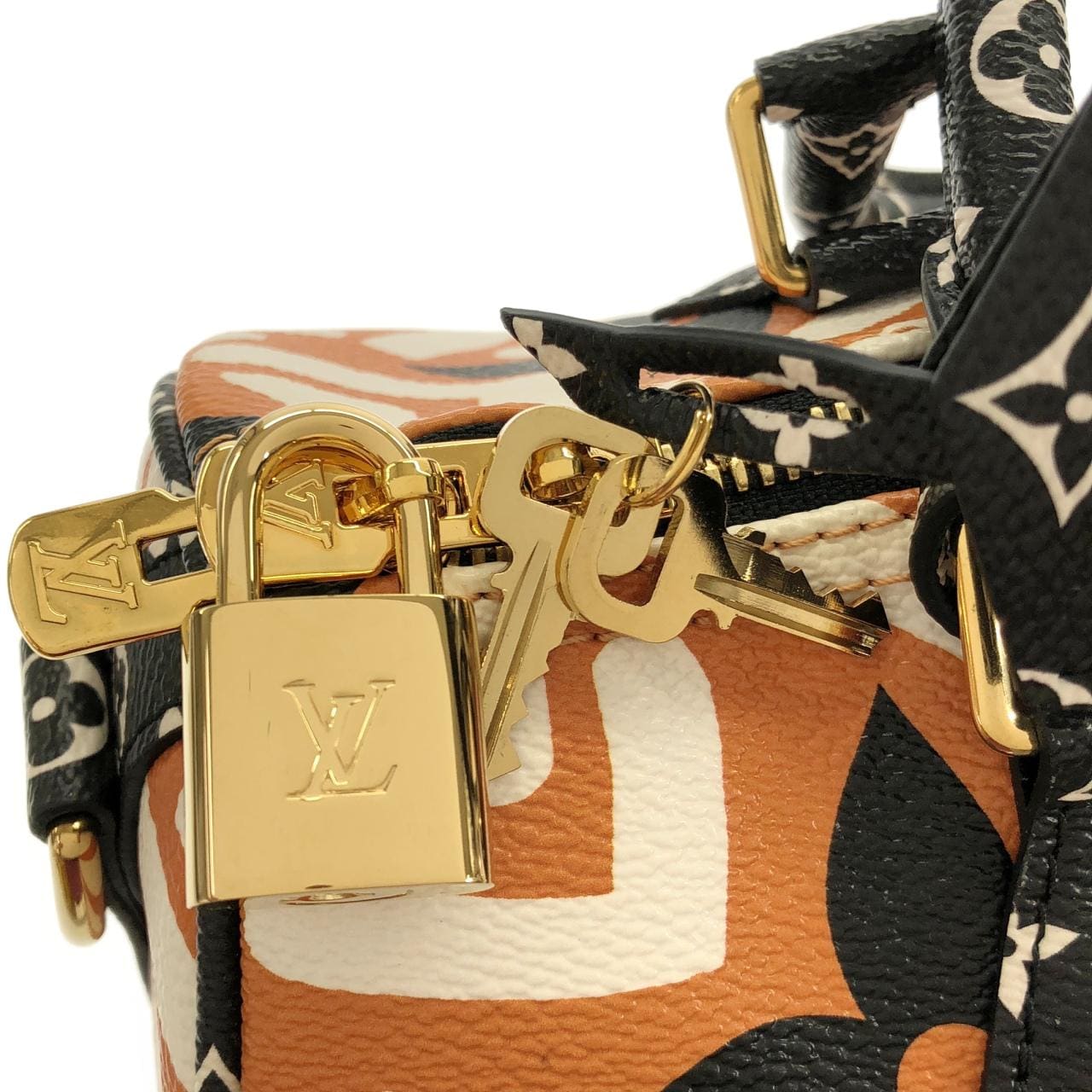LOUIS VUITTON Speedy M56588 Boston Canvas 4