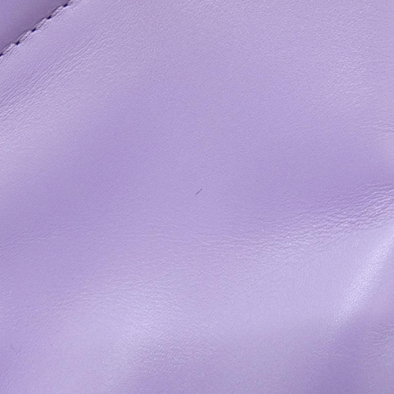 LOEWE Paseo A709P48X02 Handbag 3
