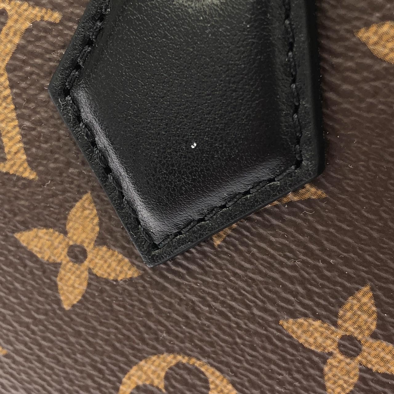LOUIS VUITTON Speedy M13146 Boston Monogram 4