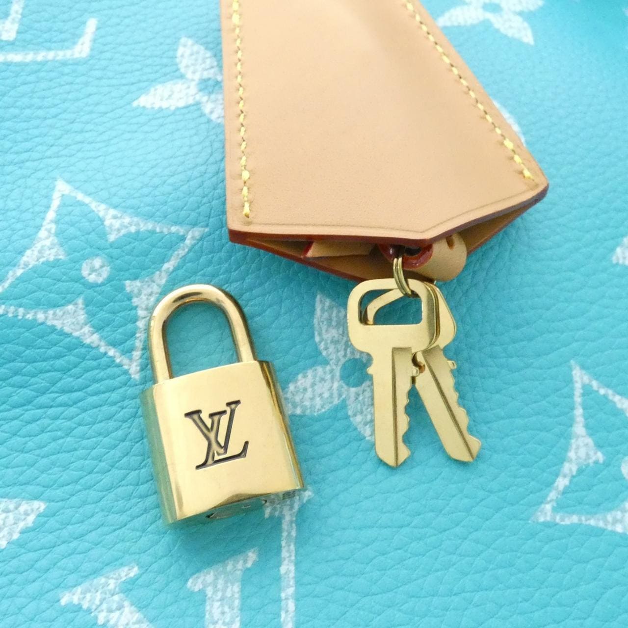 LOUIS VUITTON Speedy M11565 Boston Monogram 5