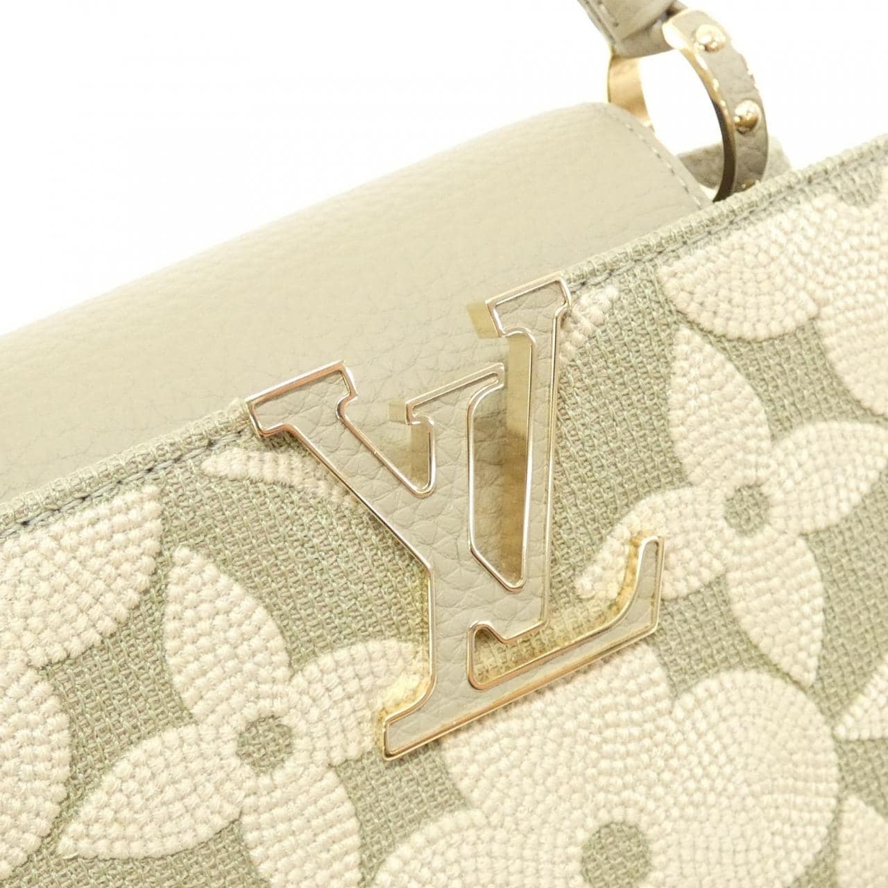 LOUIS VUITTON Capucines M15063 Handbag Canvas 4