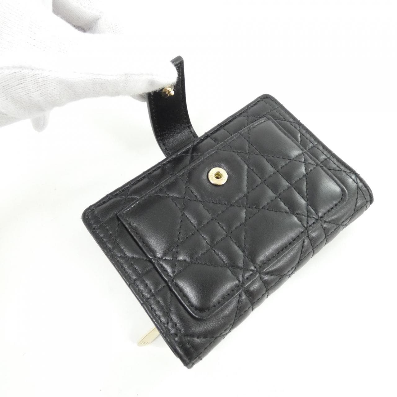 DIOR S6022ONMJ Wallet Lambskin 5