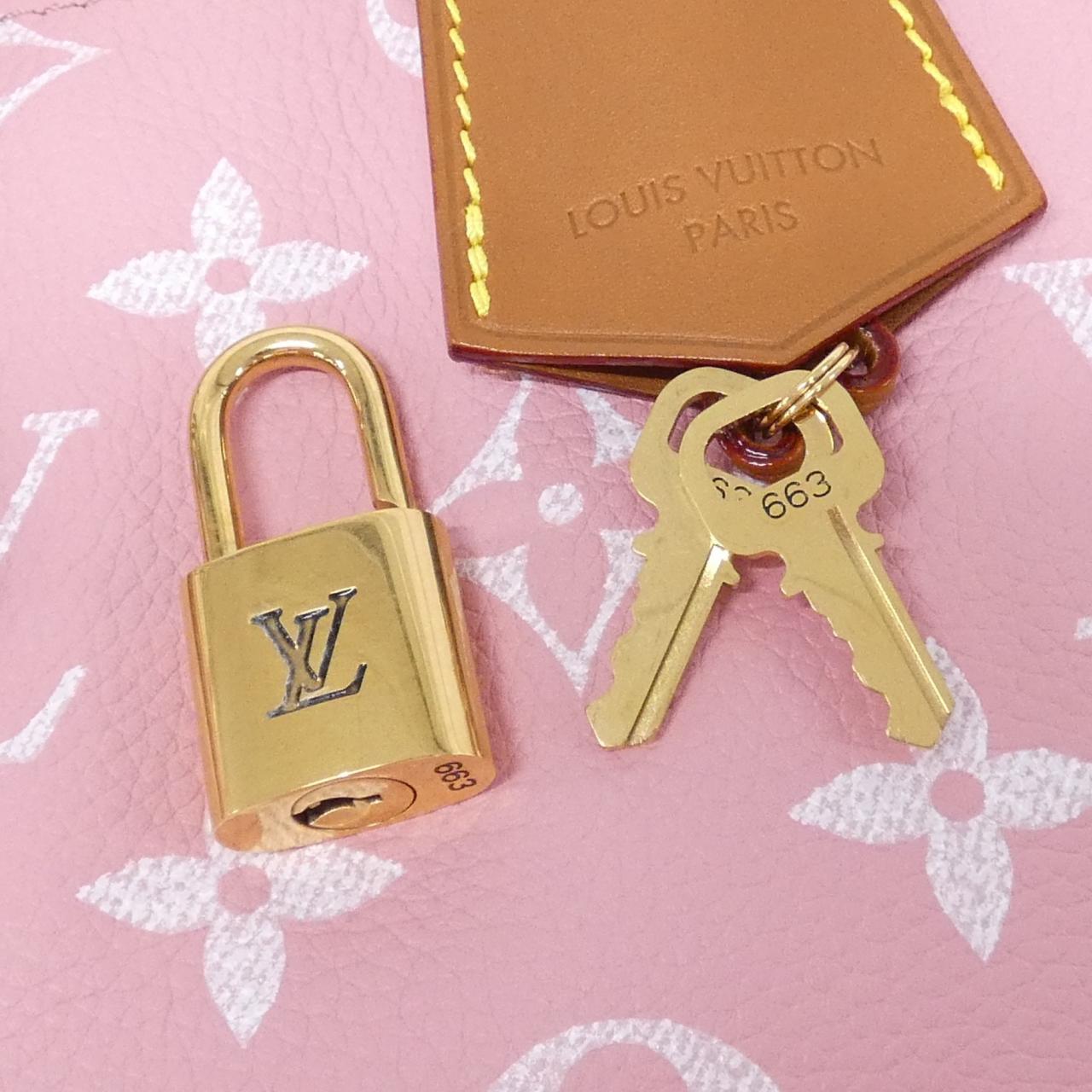 LOUIS VUITTON Speedy M15243 Boston Monogram 5