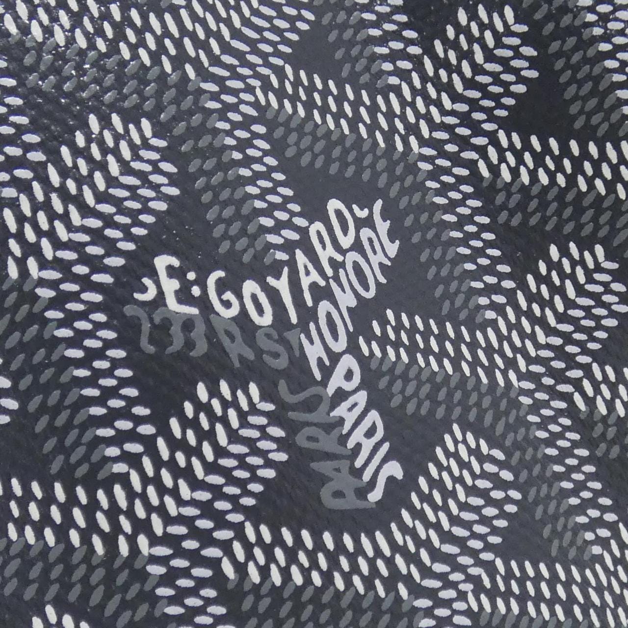 GOYARD Saint Louis AMA LOUIS PM Bag Canvas Grey Canvas - Thumbnail 3