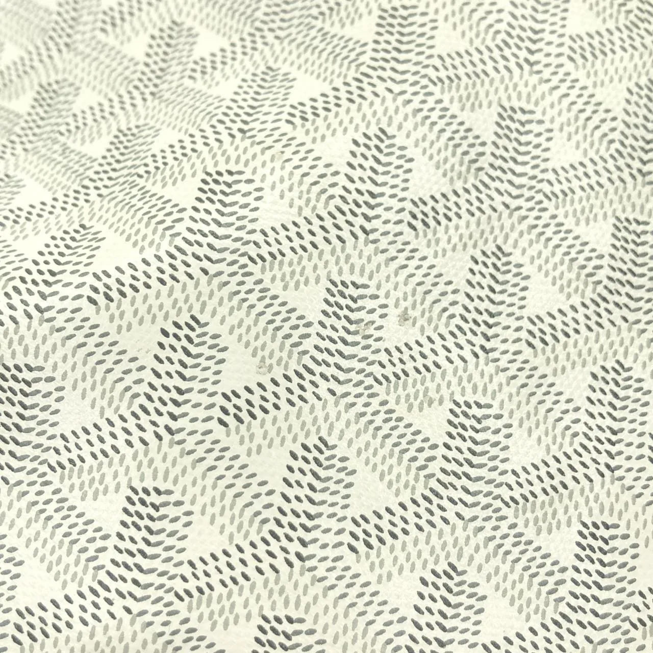 GOYARD Saint Louis AMA LOUIS PM Tote Canvas White Canvas - Thumbnail 4