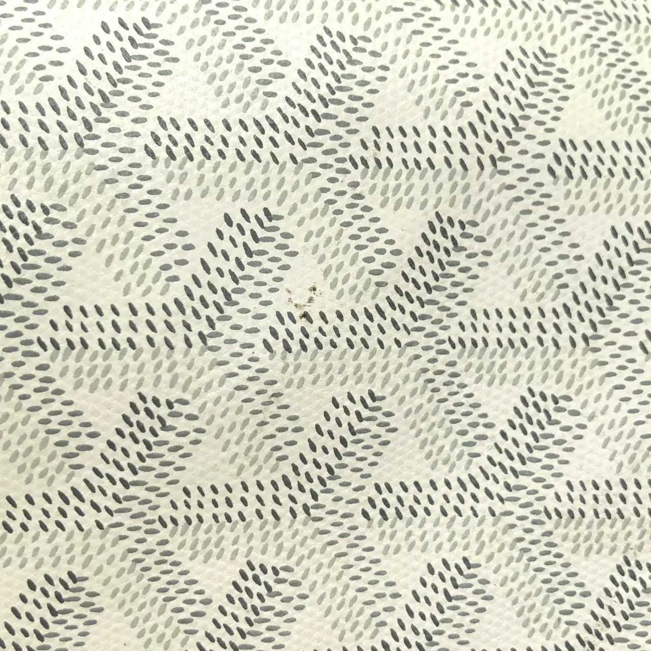 GOYARD Saint Louis AMA LOUIS PM Tote Canvas White Canvas - Thumbnail 5