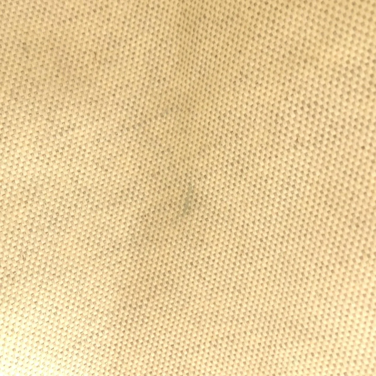 GOYARD Saint Louis AMA LOUIS PM Tote Canvas White Canvas - Thumbnail 9