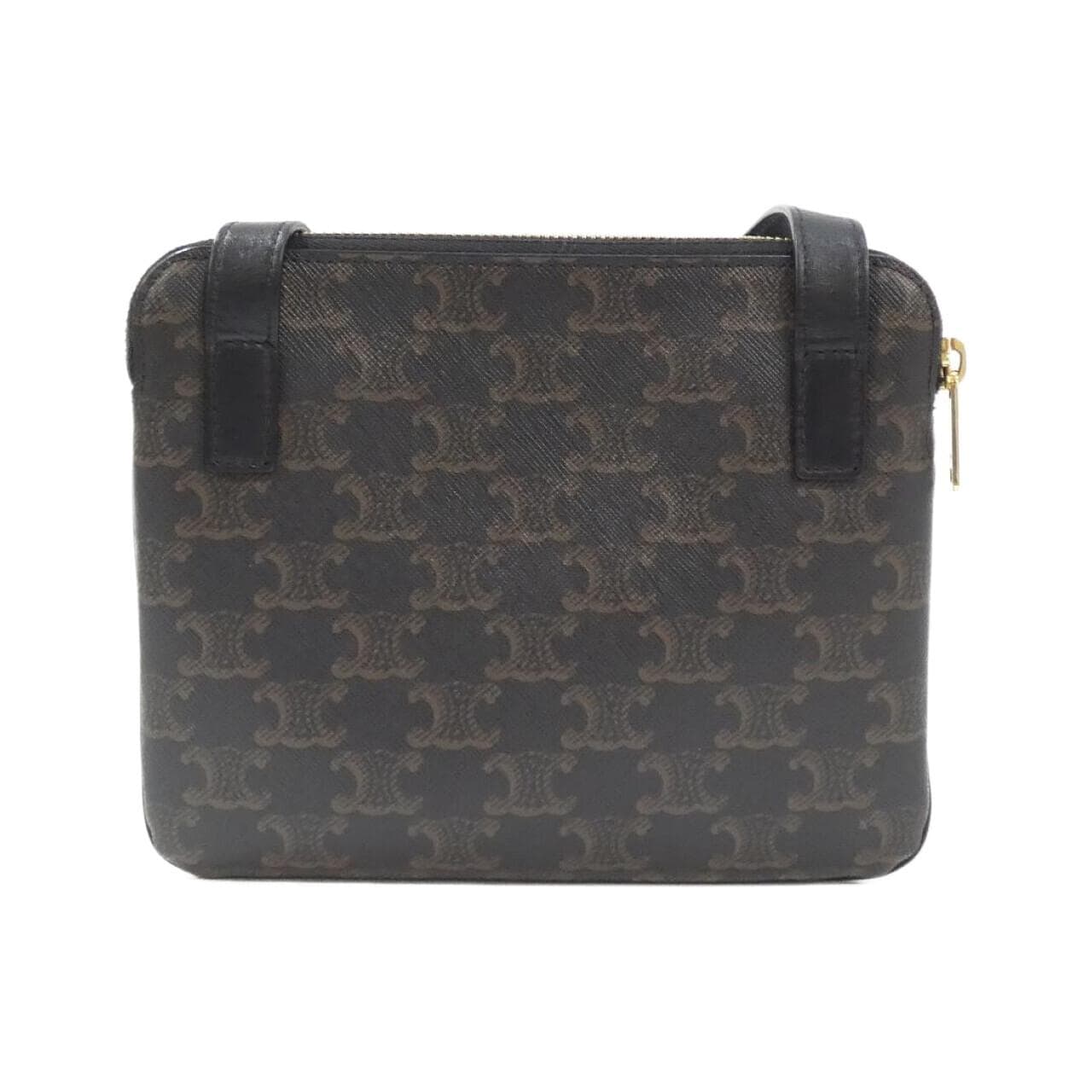 CELINE Triomphe 194282CAA Shoulder Canvas 2