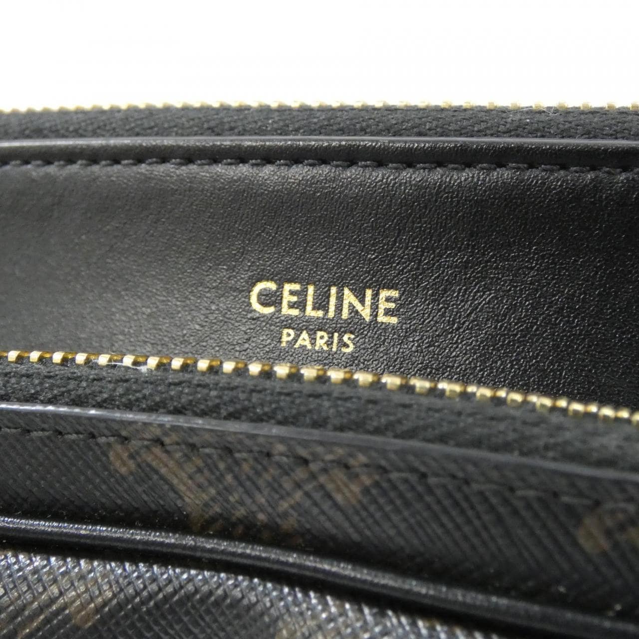 CELINE Triomphe 194282CAA Shoulder Canvas 4