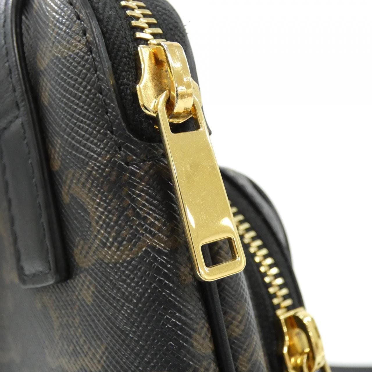 CELINE Triomphe 194282CAA Shoulder Canvas 5