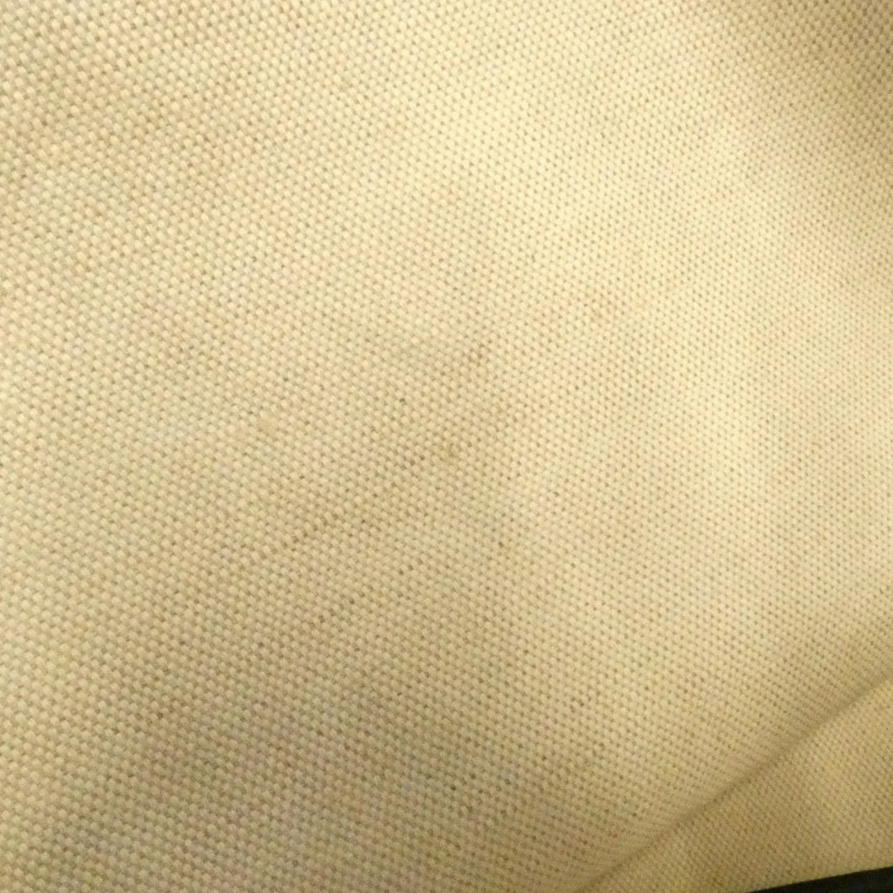 GOYARD Saint Louis AMA LOUIS PM Tote Canvas 5