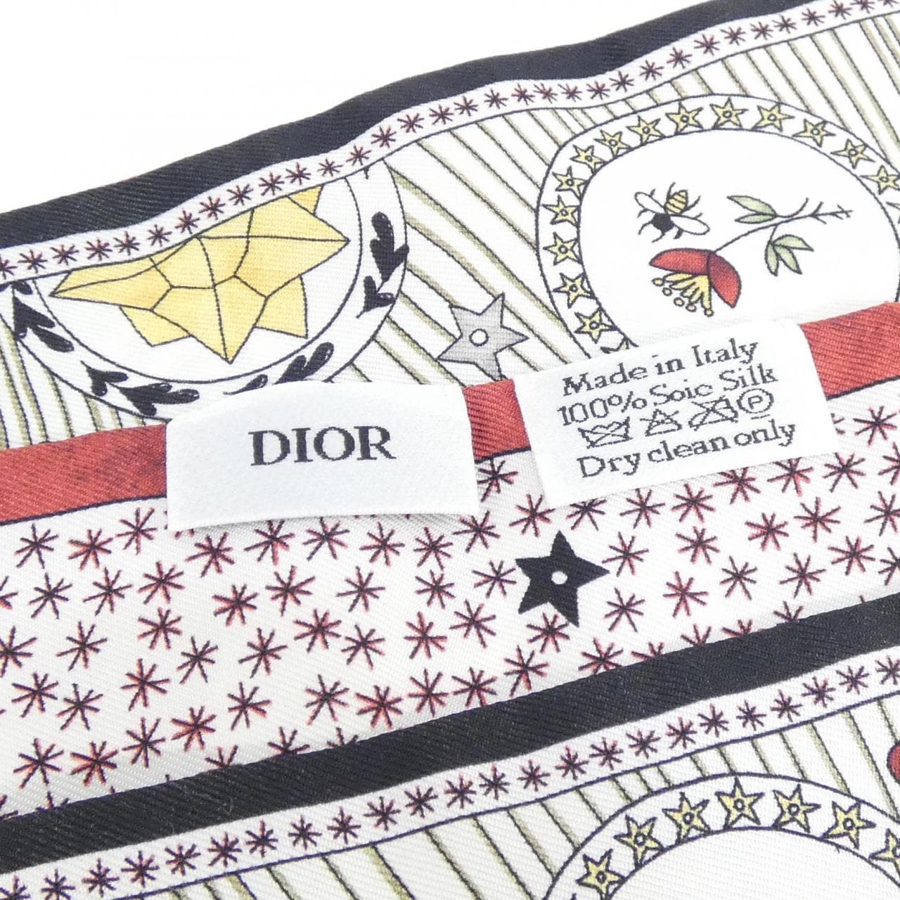 DIOR Scarf 5