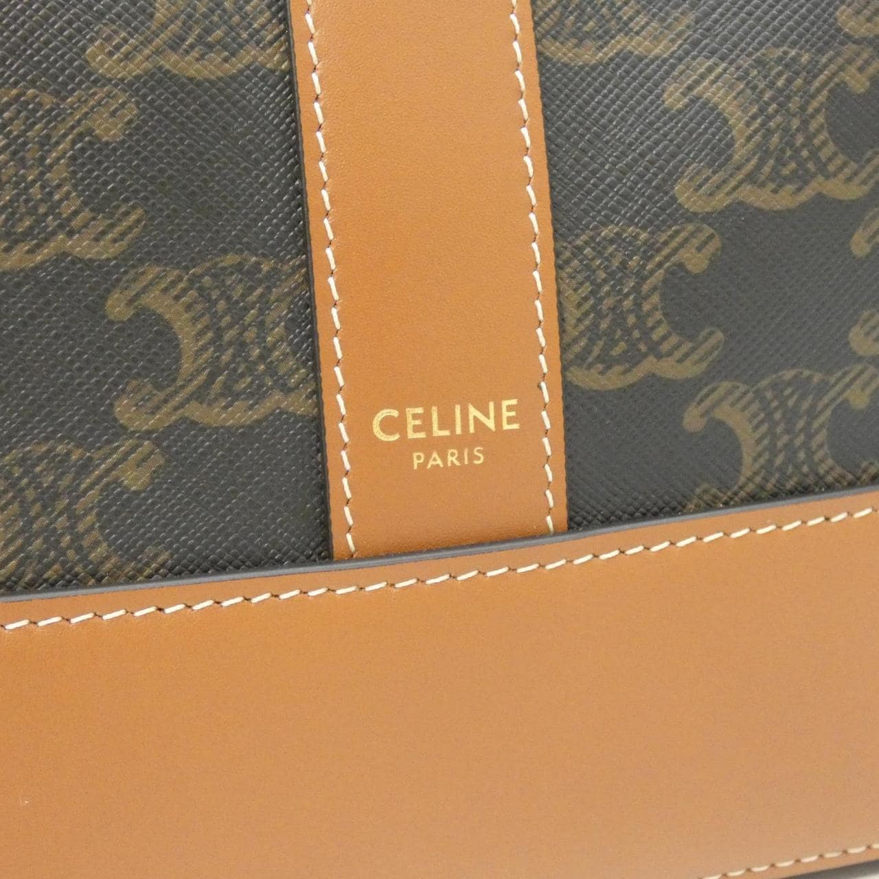 CELINE Triomphe 191132CAS Shoulder Canvas 4