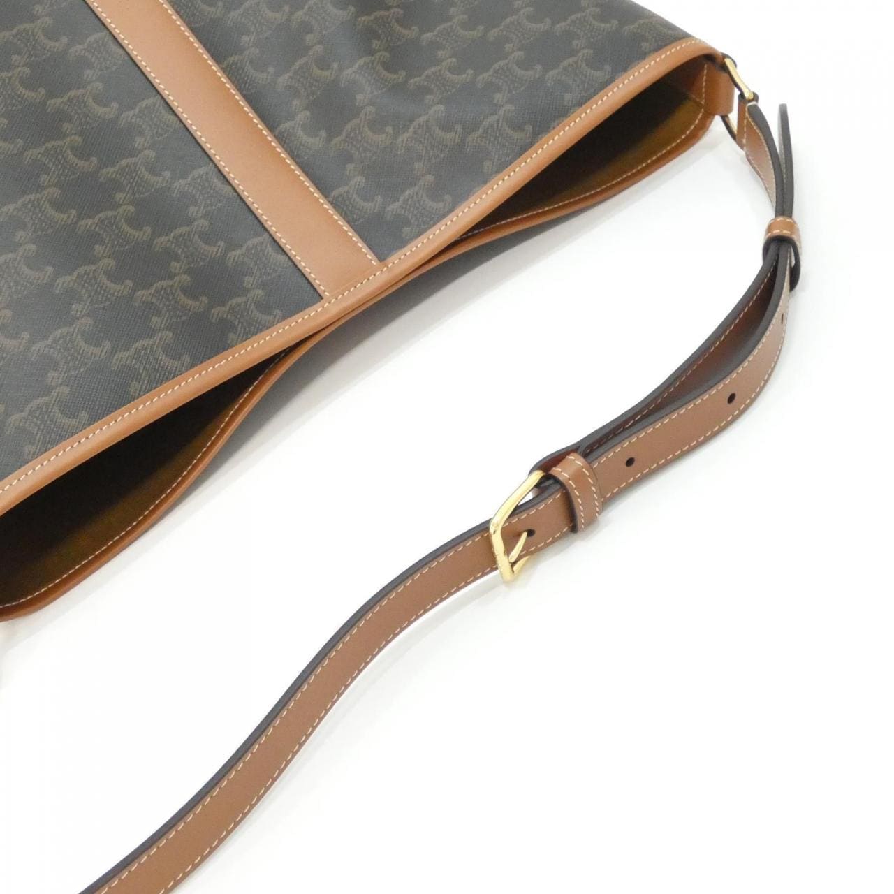 CELINE Triomphe 191132CAS Shoulder Canvas 5