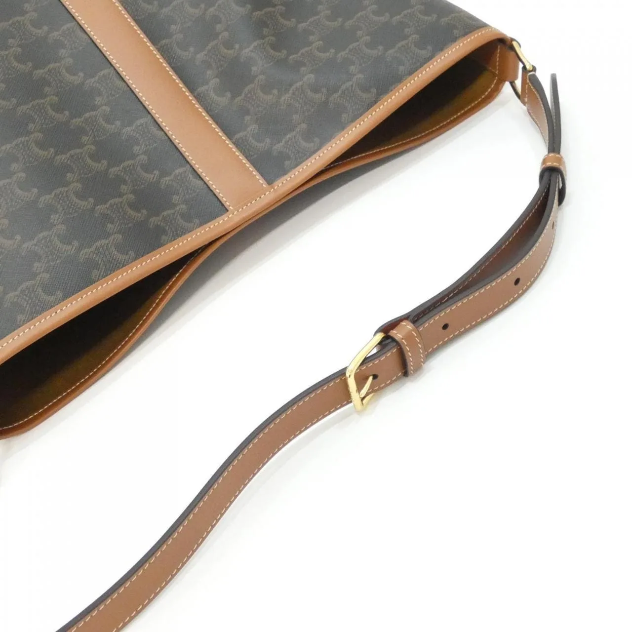 CELINE Triomphe 191132CAS Shoulder Canvas 5