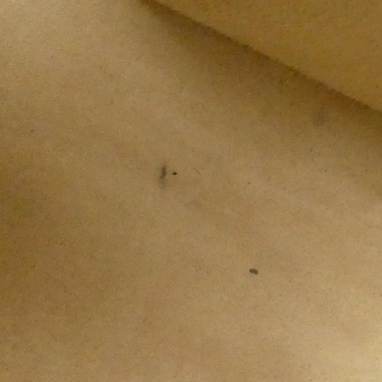 LOUIS VUITTON M51155 Handbag Monogram Black Monogram Rank B - Thumbnail 10