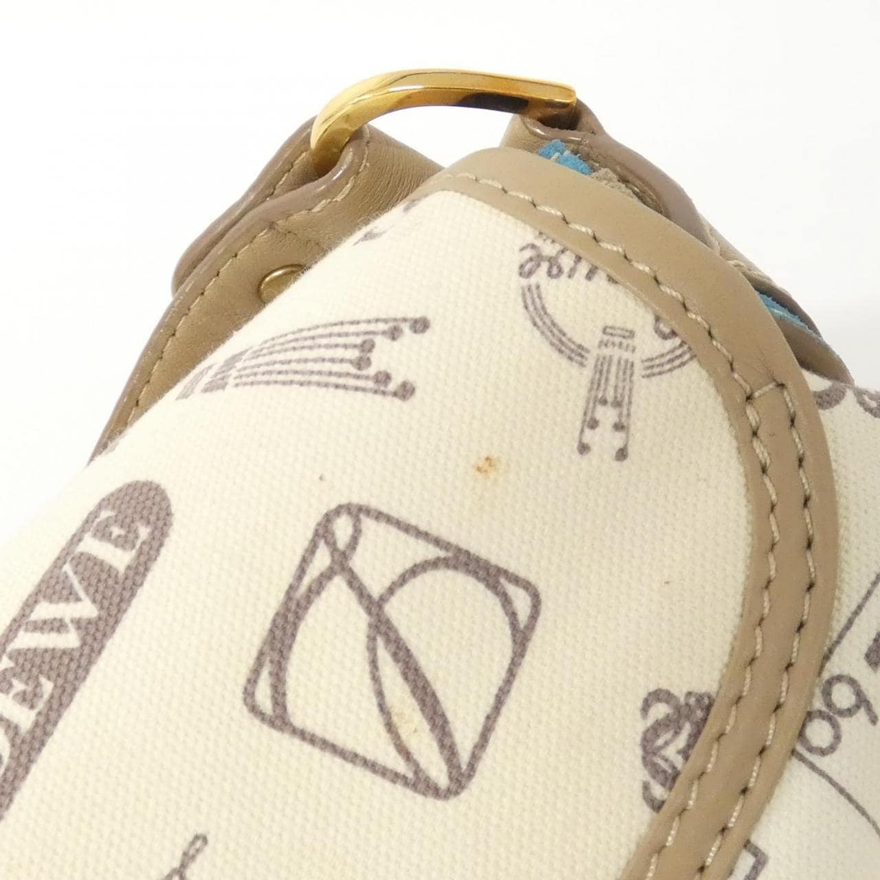 LOEWE Shoulder Bag Canvas White Canvas - Thumbnail 5