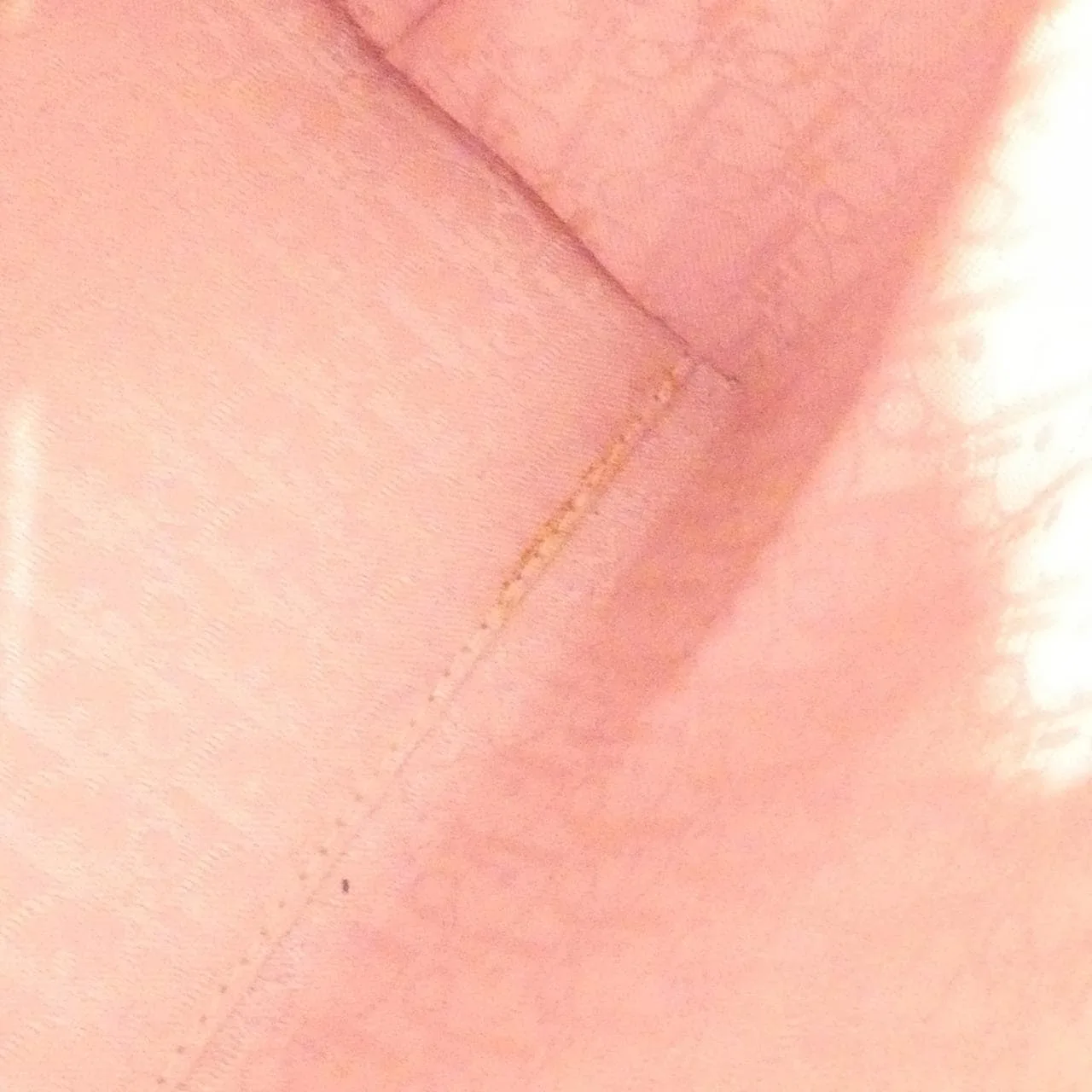 DIOR PEB44551 Handbag Leather 粉色 皮革 中古品B - 縮圖 10