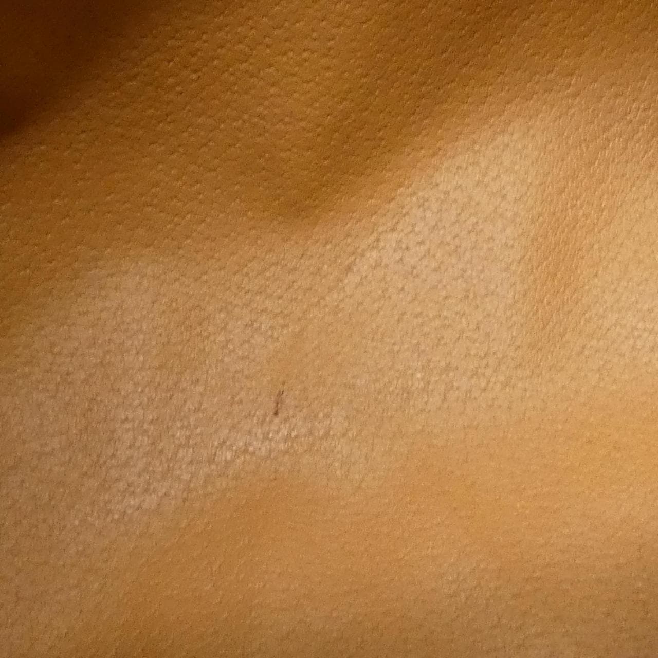 CELINE Bag Canvas Brown Canvas - Thumbnail 9