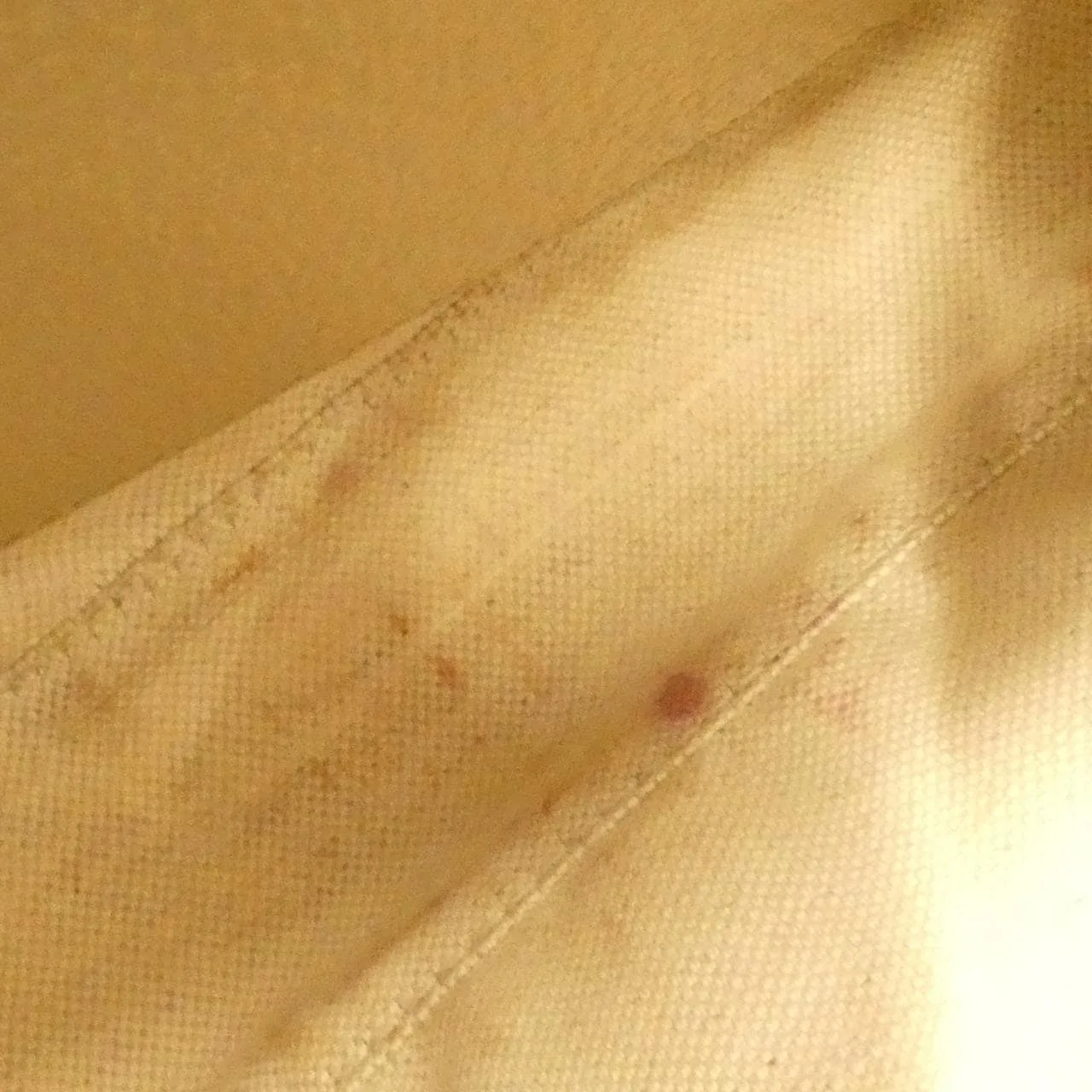 GUCCI Ophidia 735132 UULAG Shoulder Canvas 黑色 帆布 中古品B - 縮圖 8