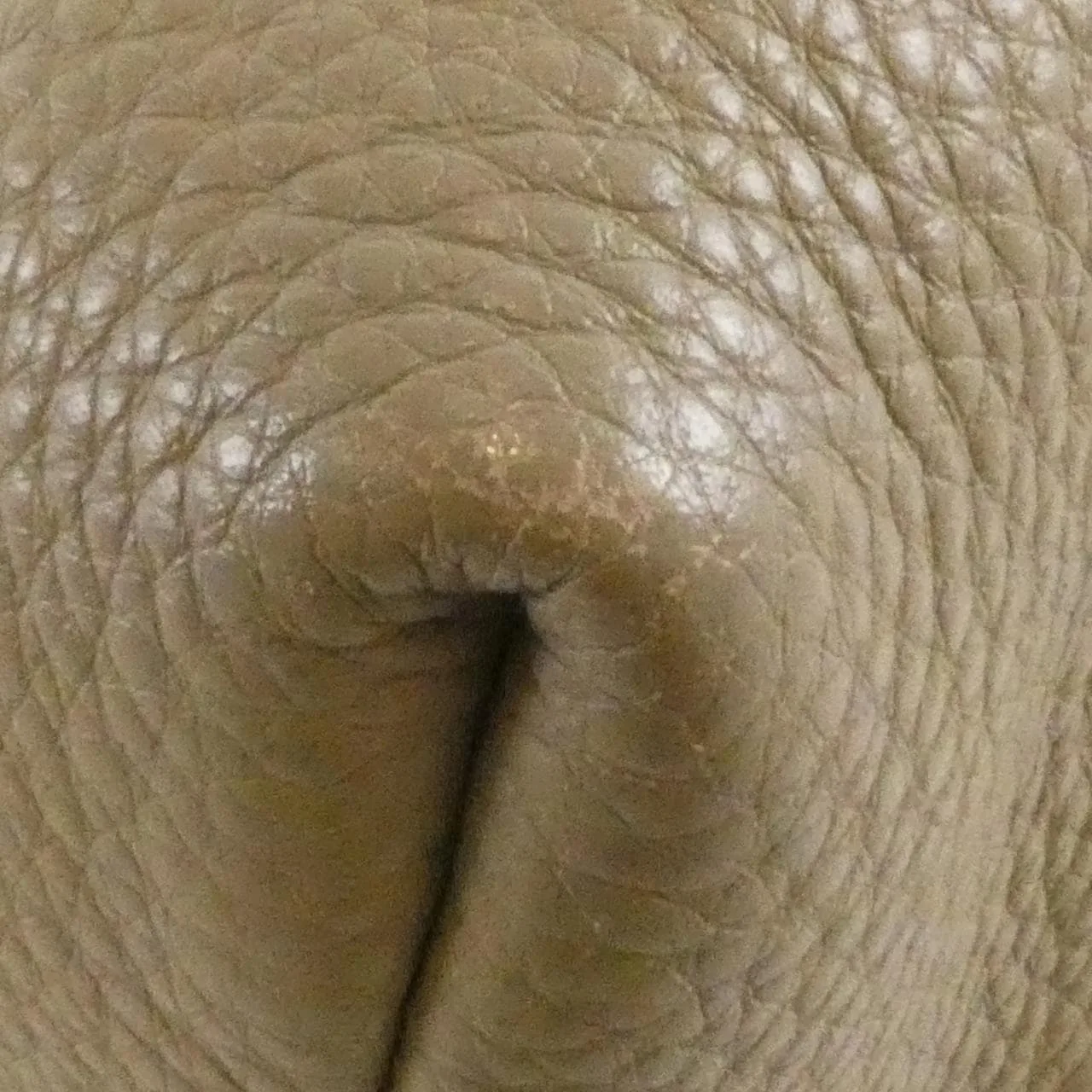 PRADA BN2754 Handbag Black Rank A - Thumbnail 4