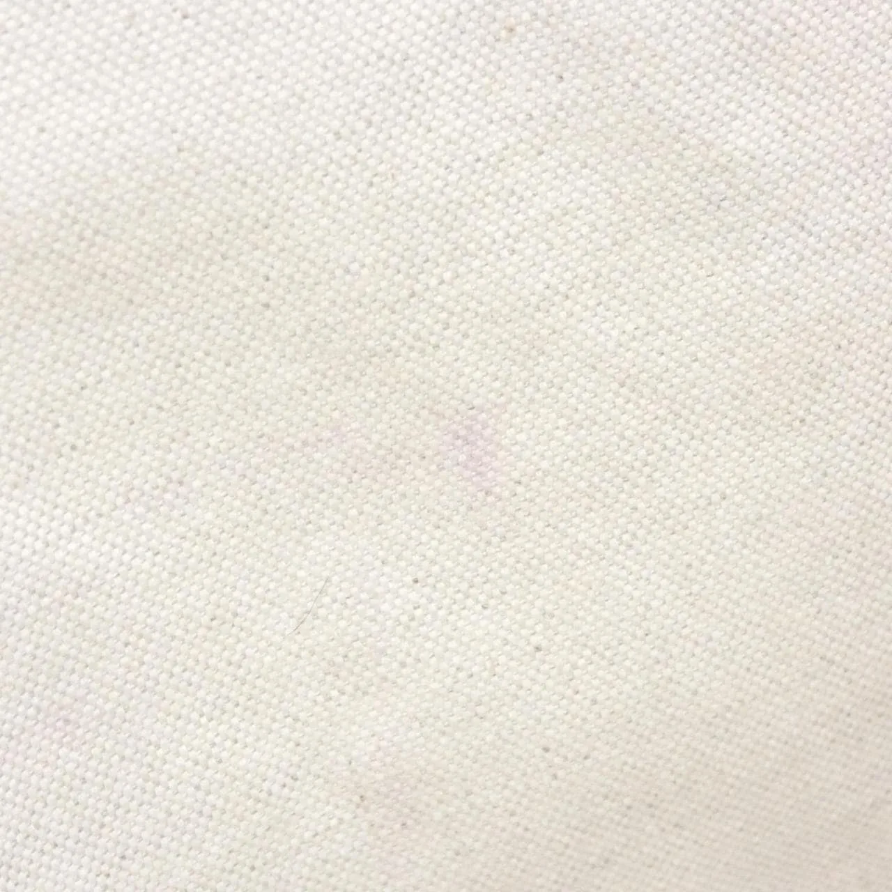 GOYARD Saint Louis AMA LOUIS GM Tote Canvas 白色 帆布 中古品A - 縮圖 6