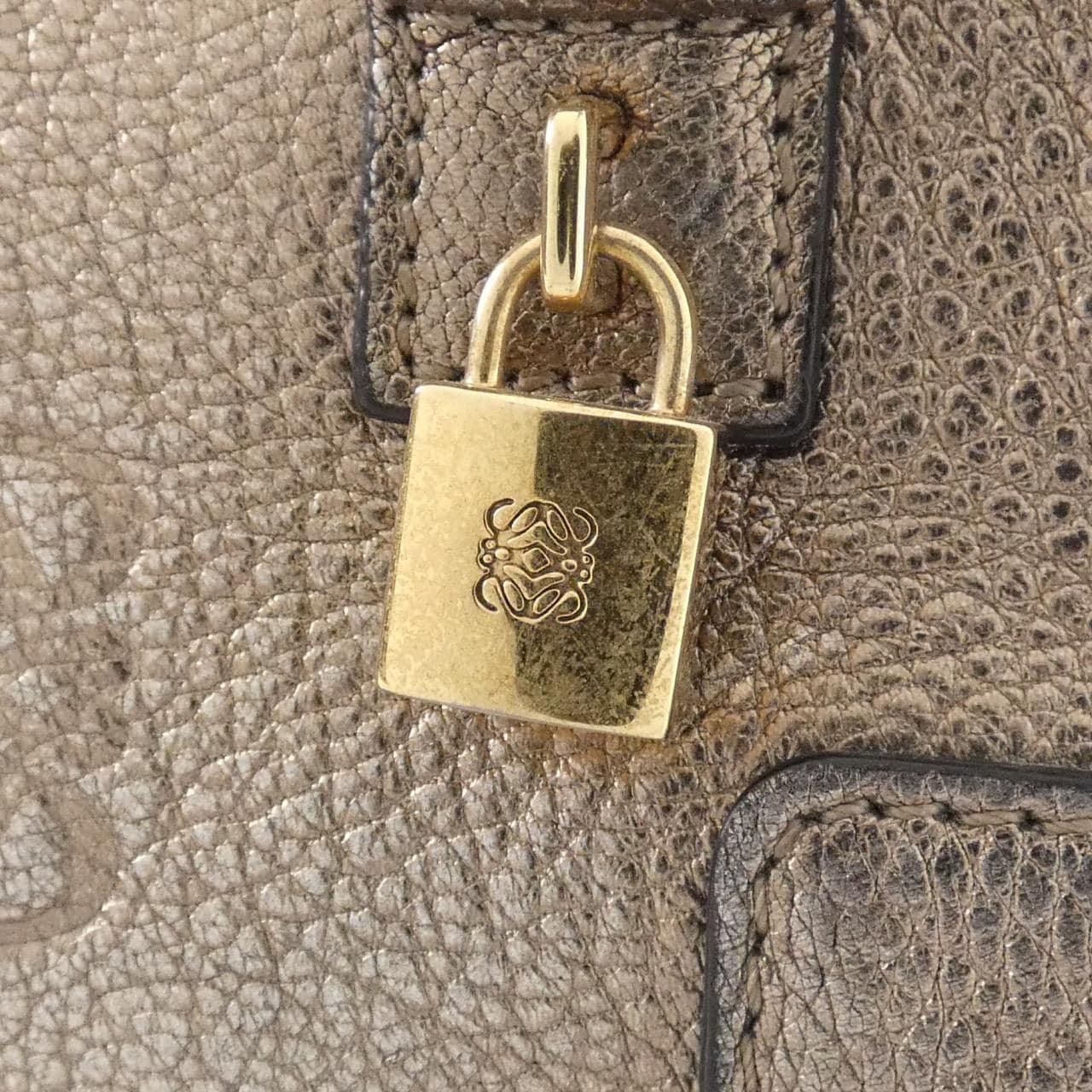 LOEWE Amazona Bag Leather Gold Leather - Thumbnail 5