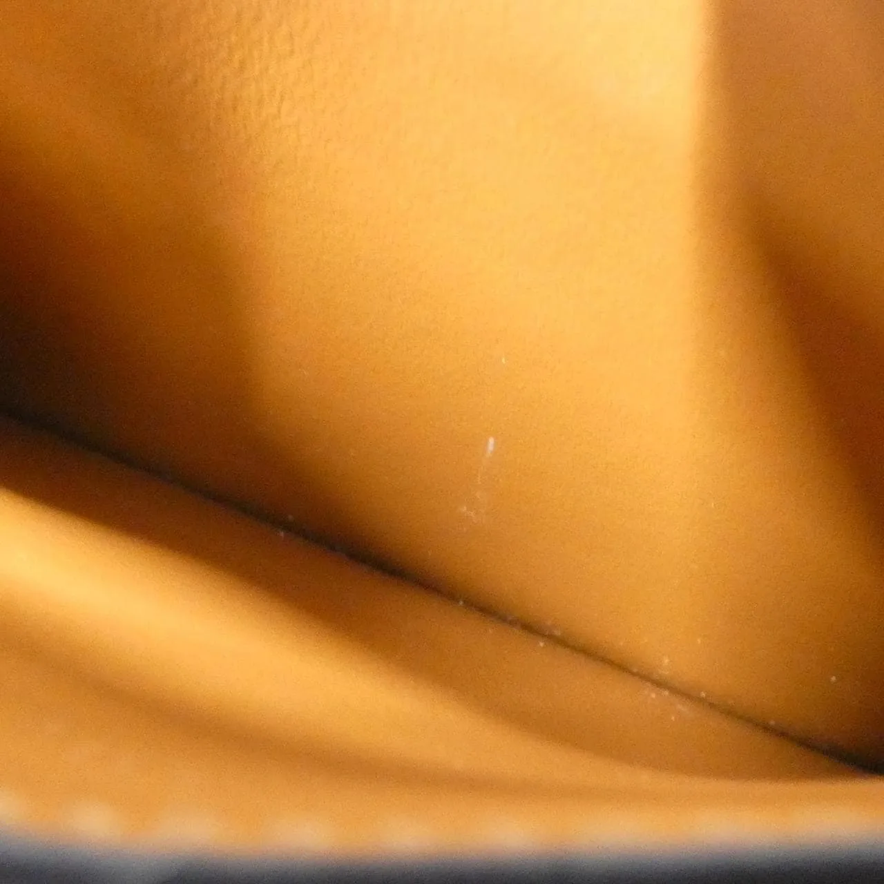 CELINE 10B702CLY Card Case Canvas 黑色 帆布 中古品A - 縮圖 6