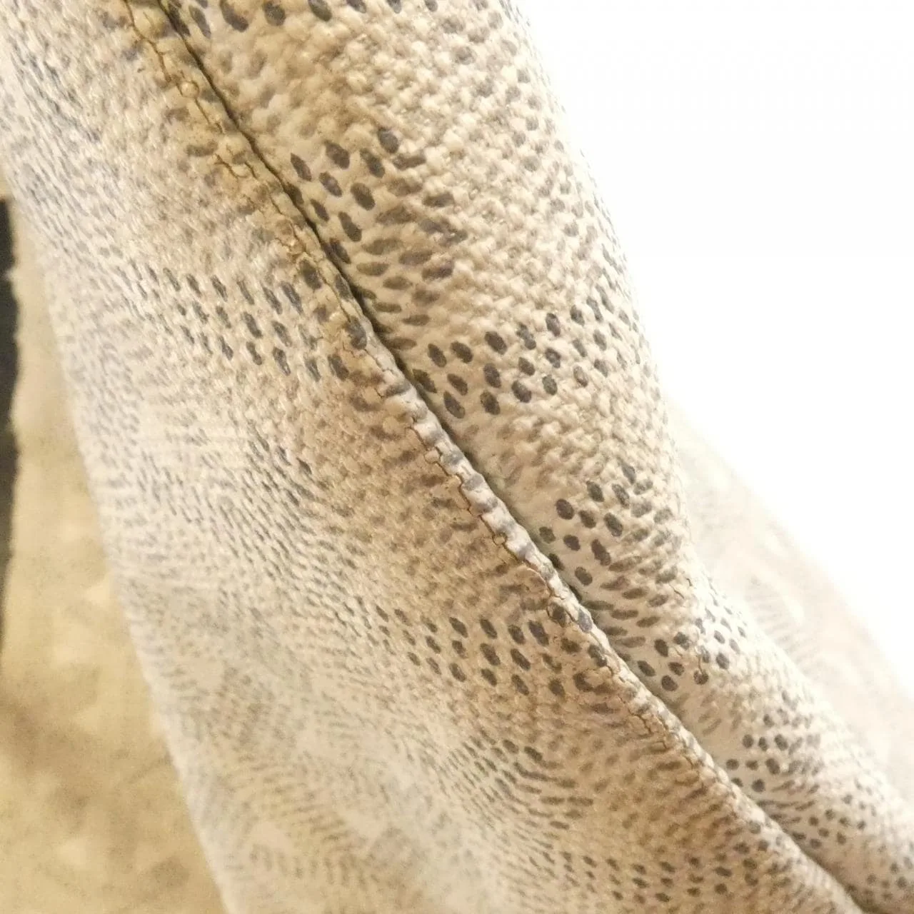 GOYARD Saint Louis AMA LOUIS PM Tote Canvas White Canvas Rank B - Thumbnail 6