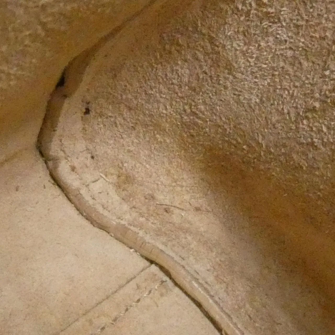 SAINT LAURENT Loulou 620667 Handbag Beige Rank B - Thumbnail 10