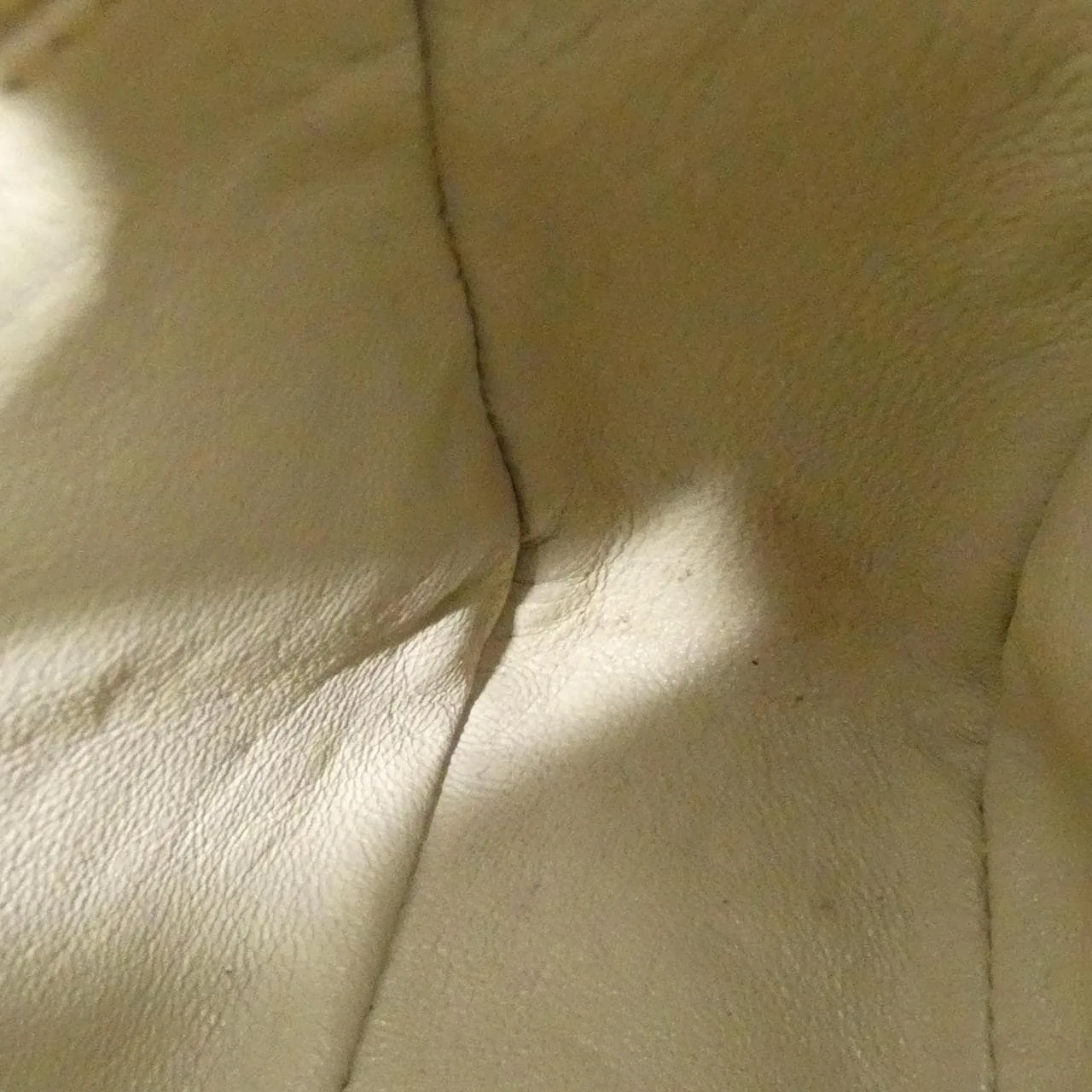 CHANEL Shoulder Lambskin 金色 羊皮 中古品B - 縮圖 9