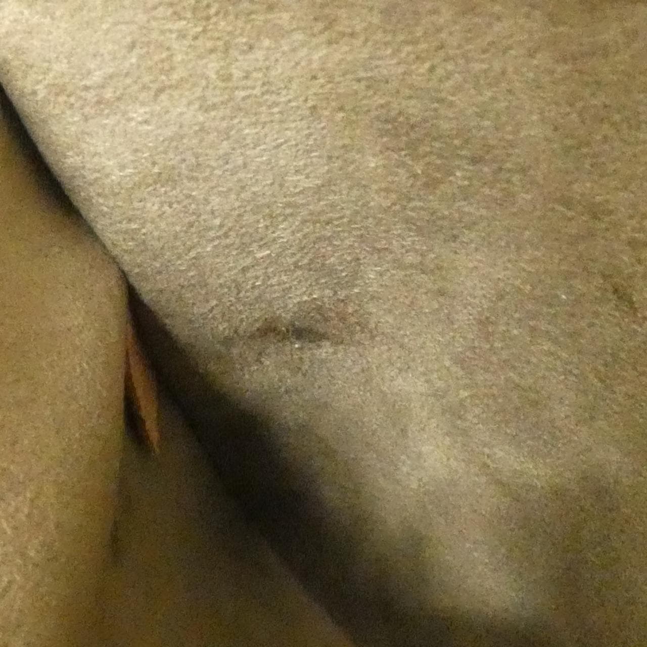 LOUIS VUITTON Alma M92646 Bag Canvas Multicolor Canvas - Thumbnail 10