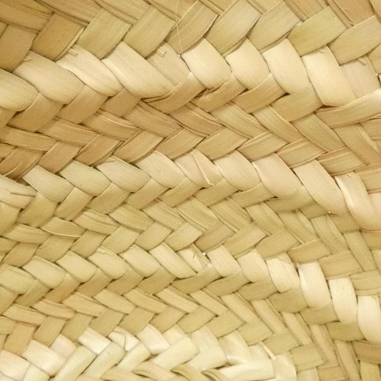 MIU MIU 5BG209 Bag 黑色 中古品A - 縮圖 7