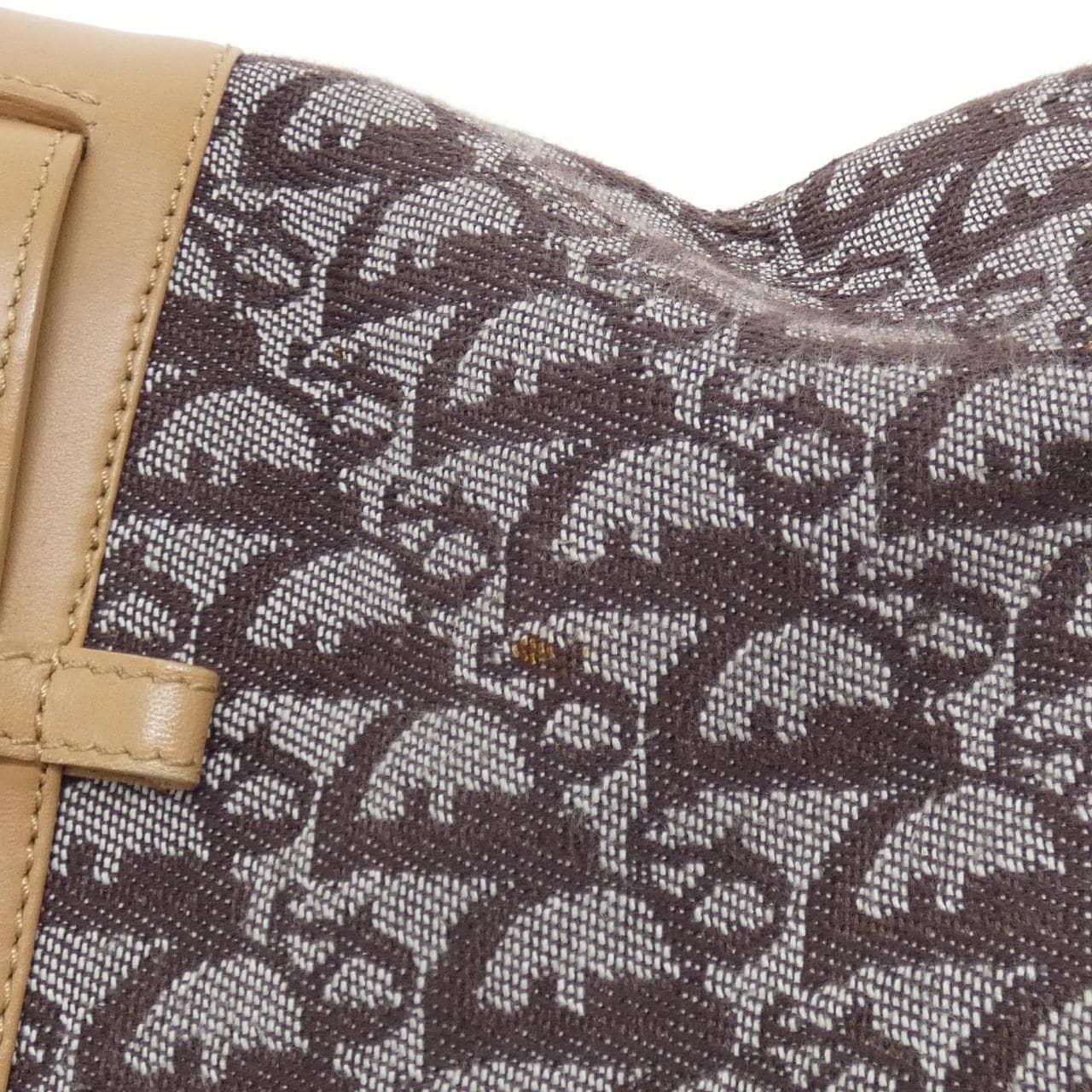 DIOR Bag Canvas Brown Canvas - Thumbnail 4