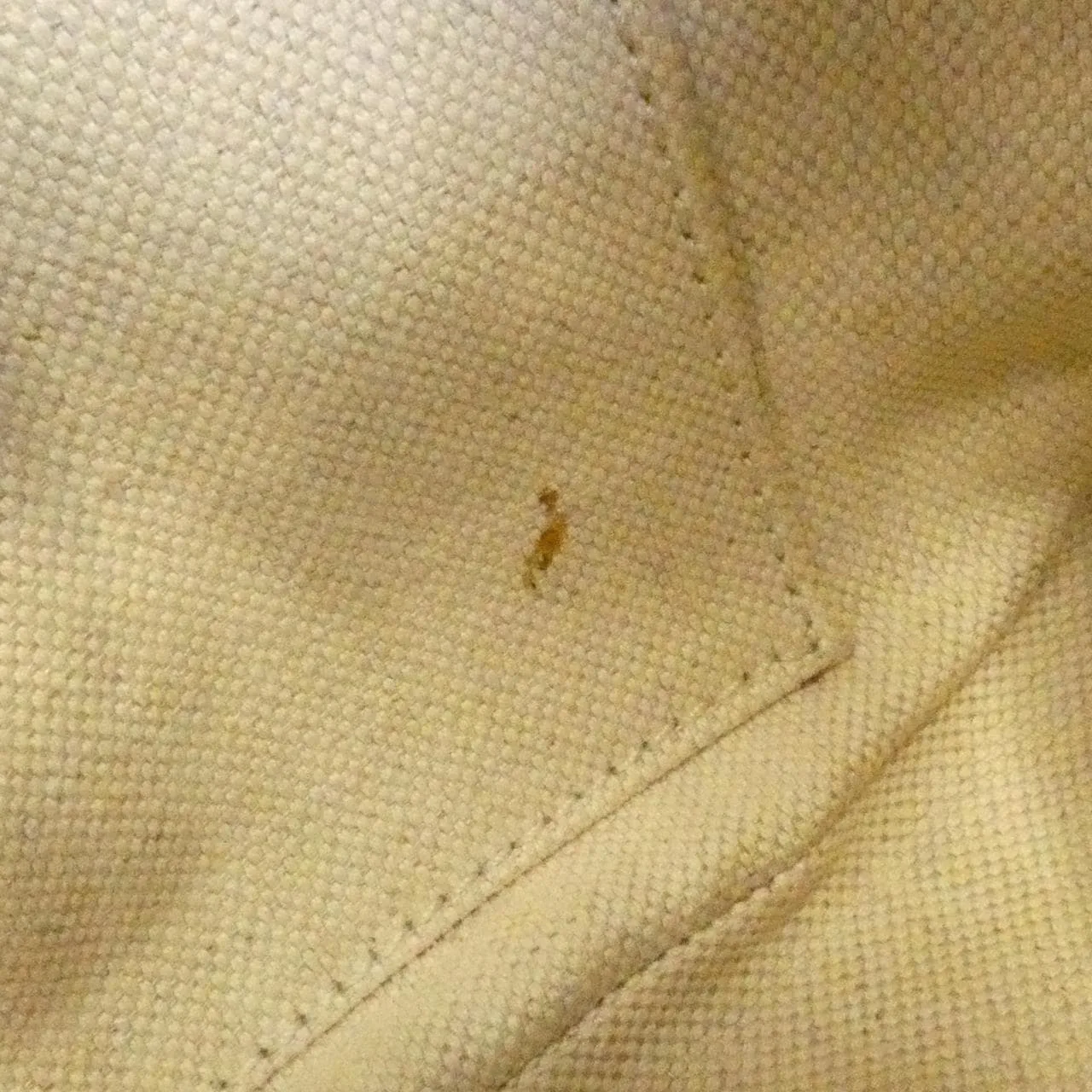 GUCCI 309538 Shoulder Leather 金色 皮革 中古品B - 縮圖 10