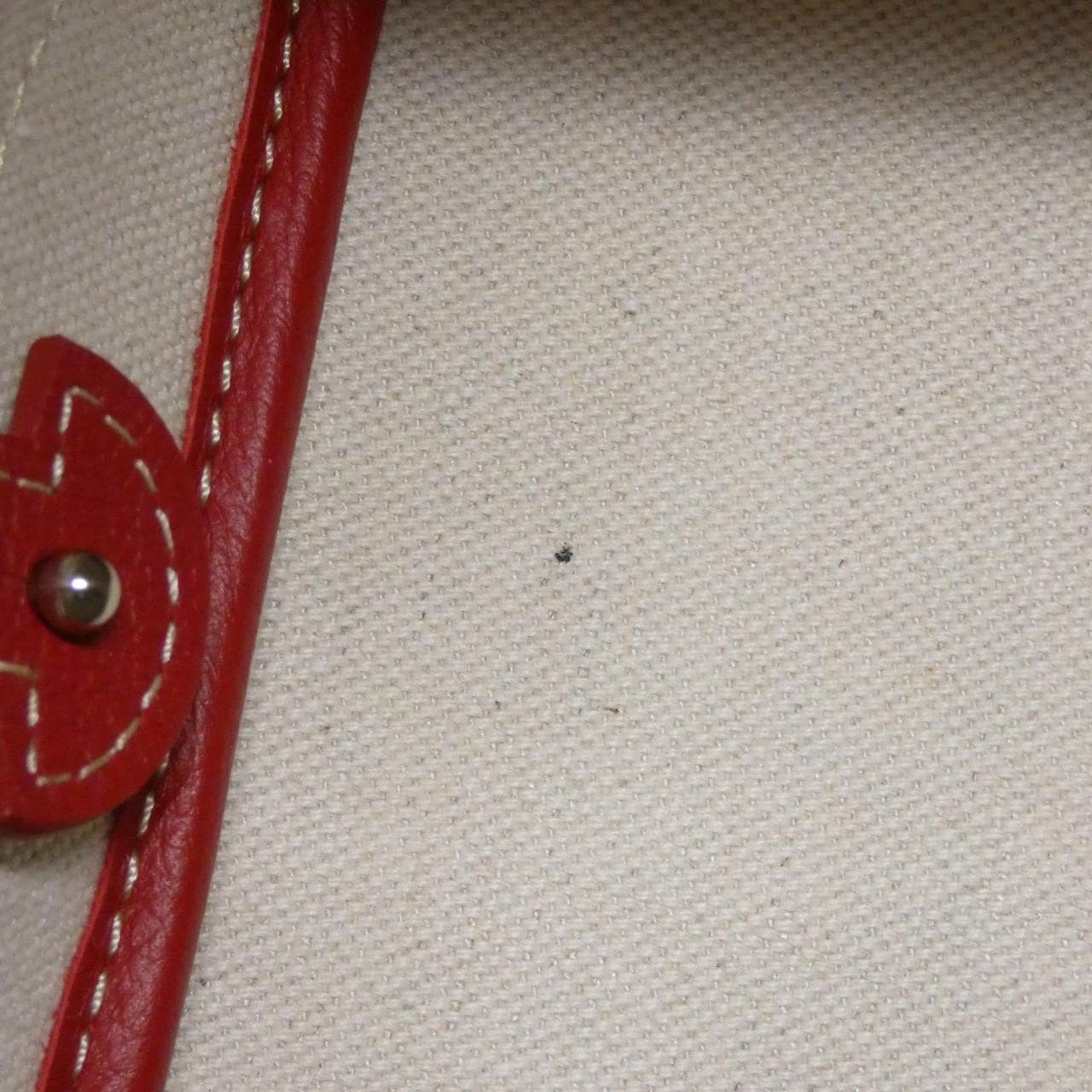 GOYARD Shoulder Bag Canvas Black Canvas - Thumbnail 7