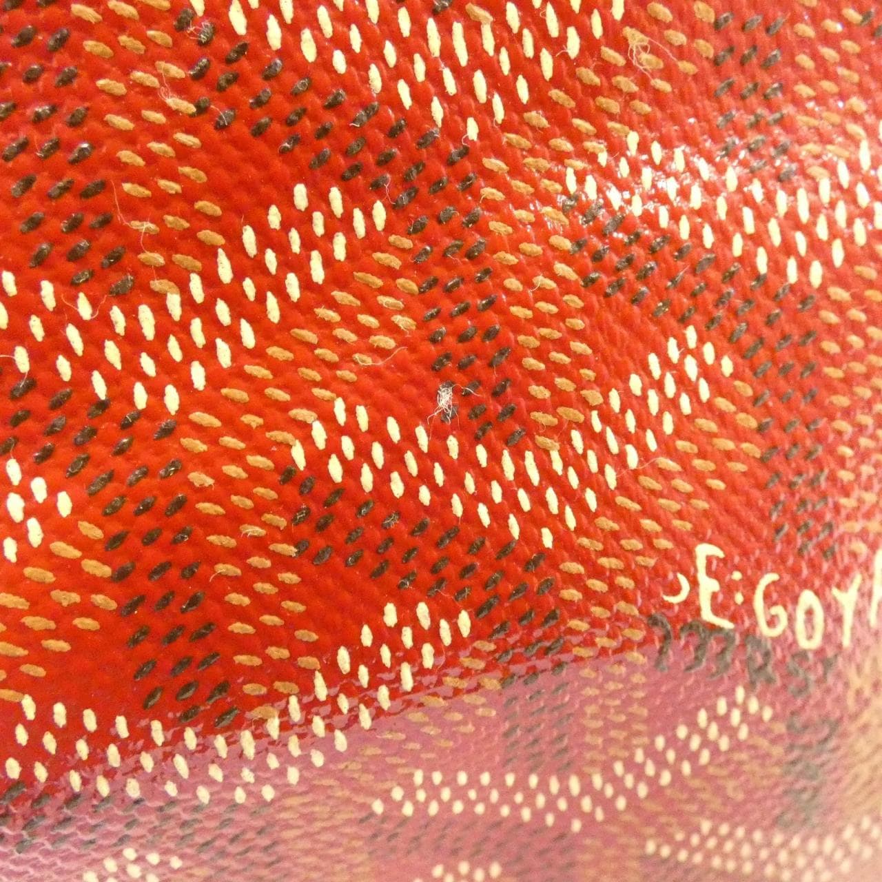 GOYARD Saint Louis AMA LOUIS PM Bag Canvas 紅色 帆布 中古品A - 縮圖 5