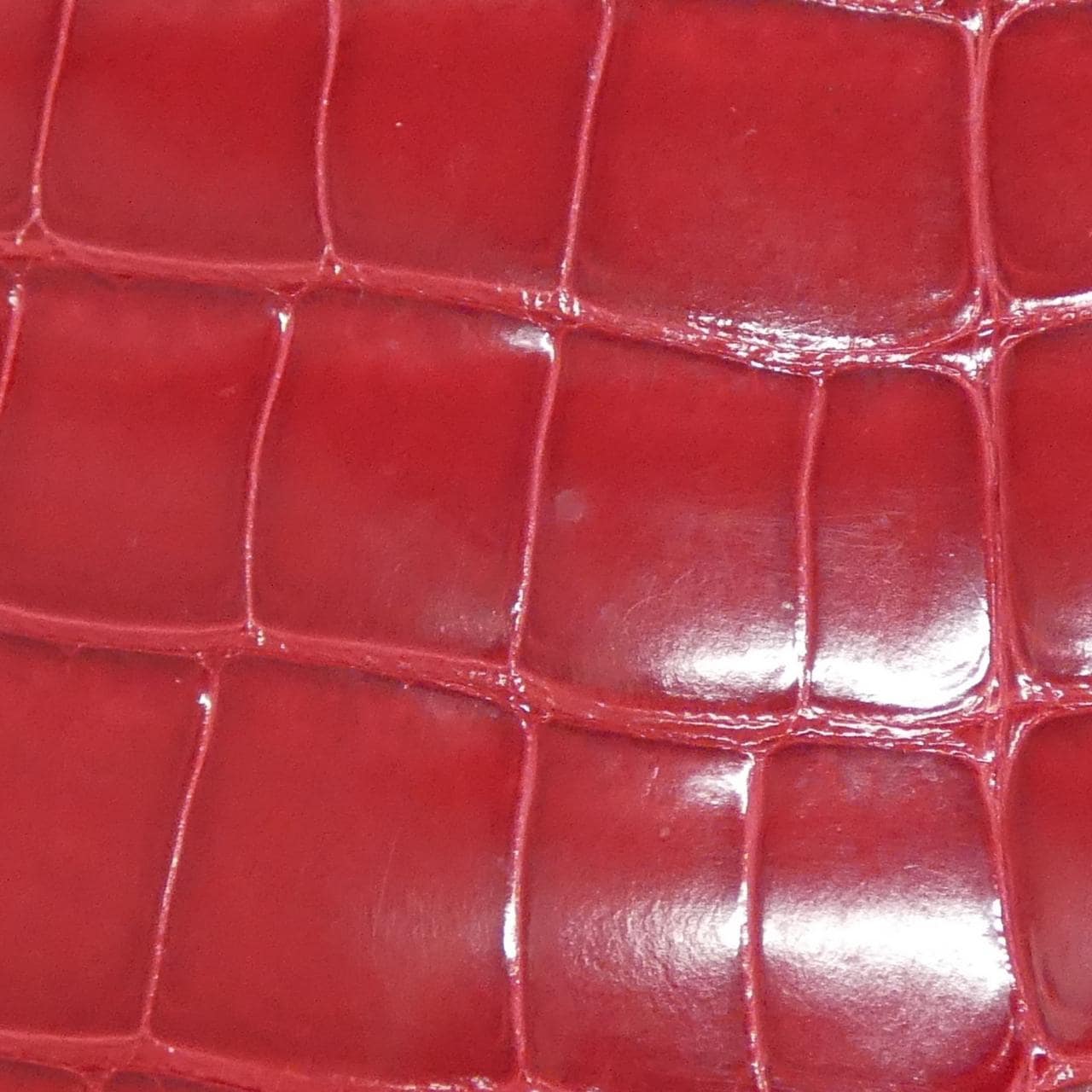 GUCCI 001 3135 Bag Crocodile 紅色 鱷魚皮 中古品A - 縮圖 5