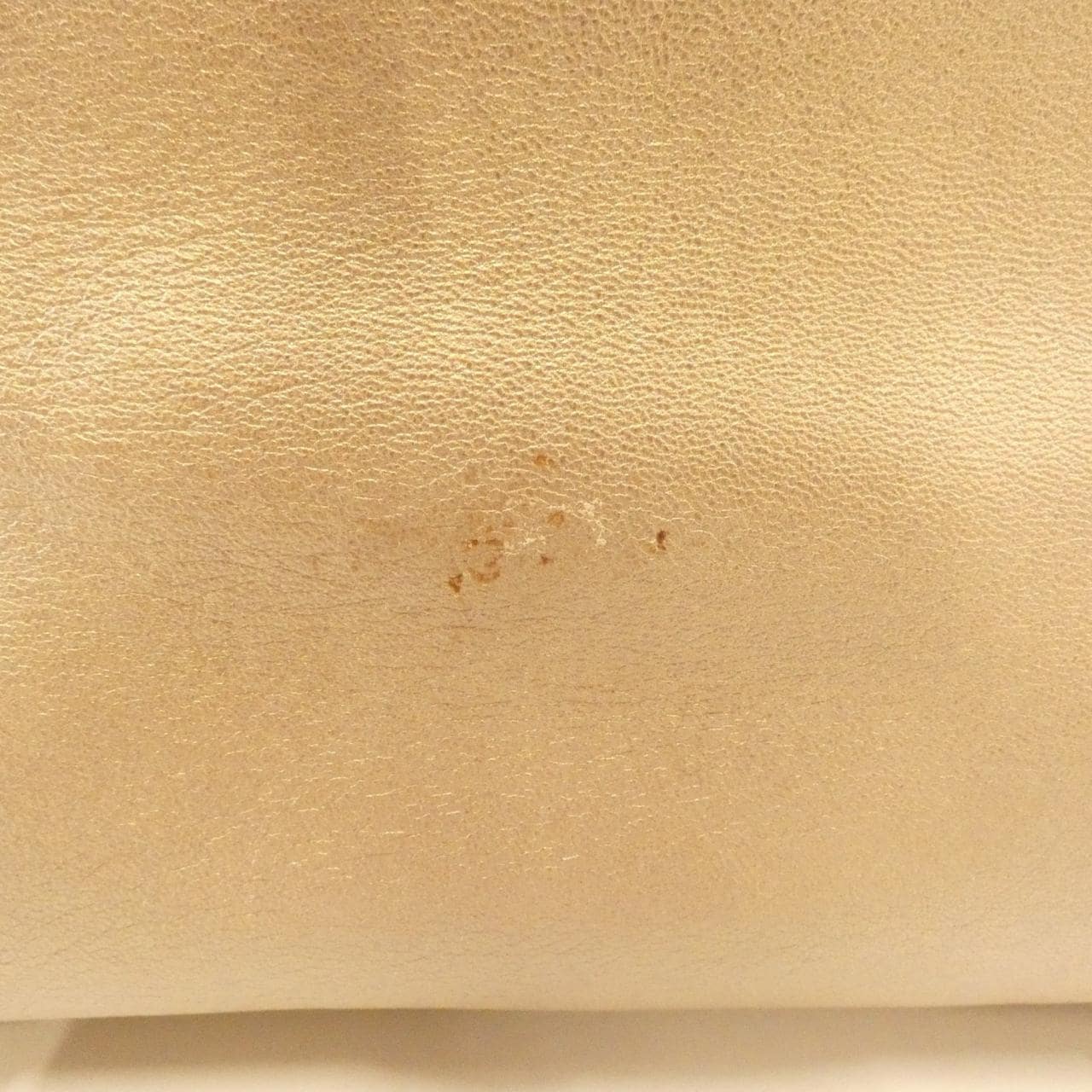 LOEWE Amazona 311 54 028 Handbag Gold - Thumbnail 5