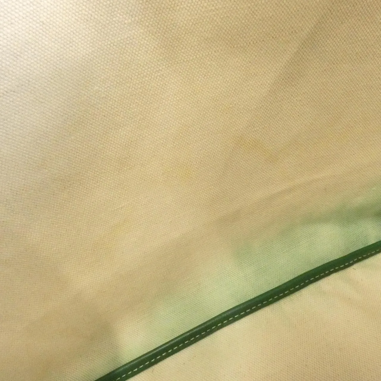 GOYARD Saint Louis AMA LOUIS PM Tote Canvas Green Canvas - Thumbnail 8