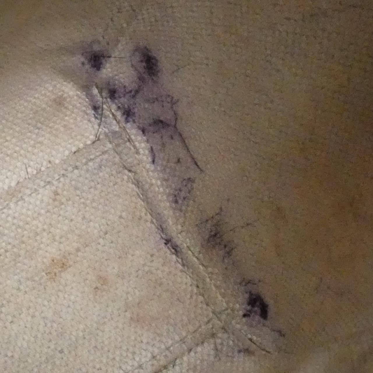 GUCCI 696010 FAA5B Bag Canvas Black Canvas Rank B - Thumbnail 10